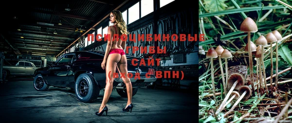apvp Семилуки